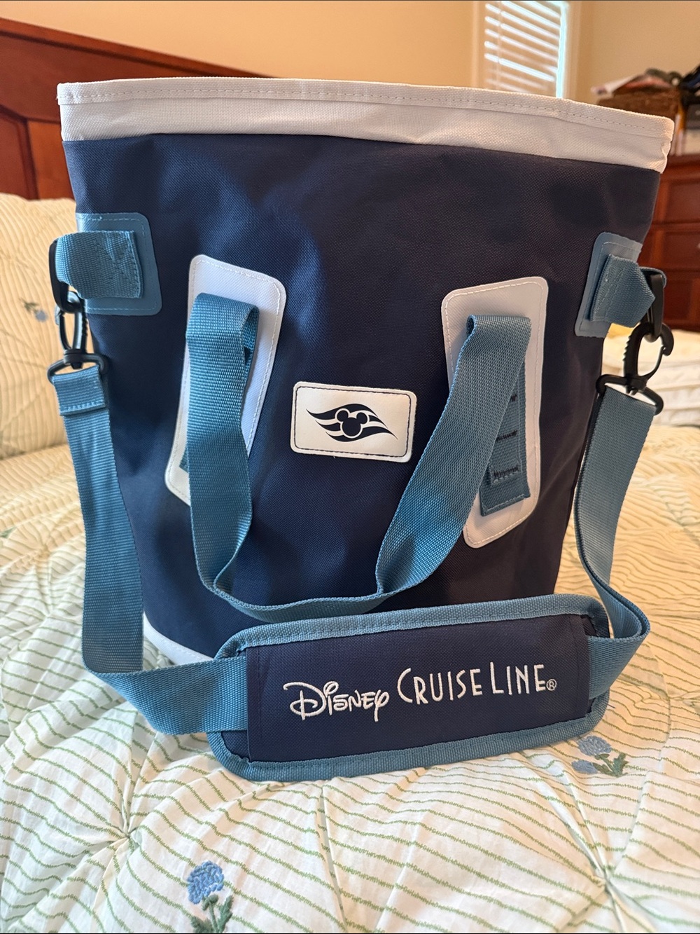 Disney Cruise Line Insulated Cooler Tote Bag DCL. Used once, no tag.